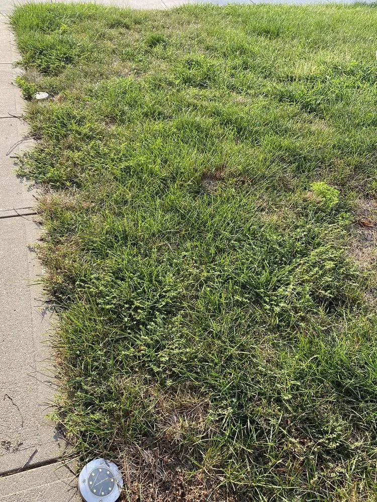 Custom landscape installation experts serving Omaha, NE - Elkhorn Lawn Care