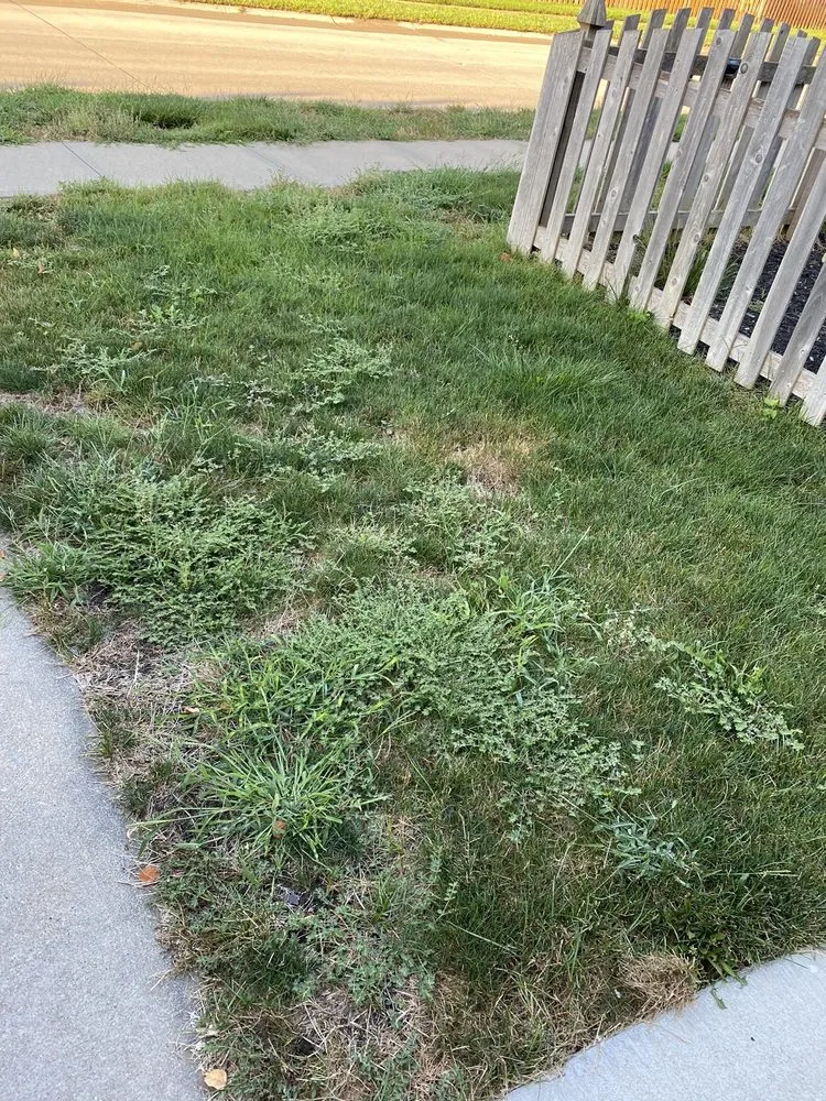 Professional lawn care service in Omaha, NE - Elkhorn Lawn Care