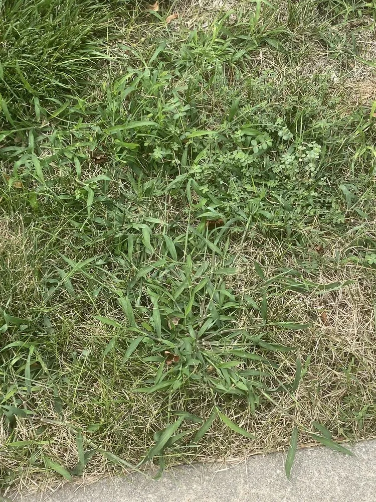 Reliable landscaping services for beautiful yards across Omaha, NE - Elkhorn Lawn Care