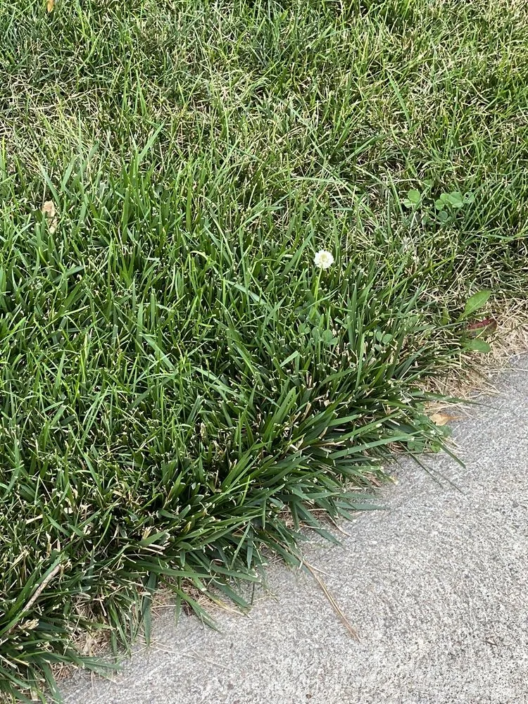 Expert residential landscaping in Omaha, NE - Elkhorn Lawn Care