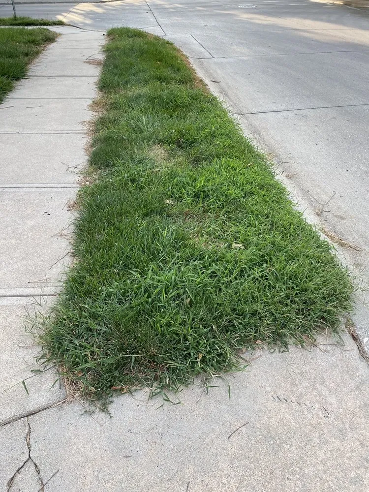 Reliable yard cleanup service experts serving Omaha, NE - Elkhorn Lawn Care