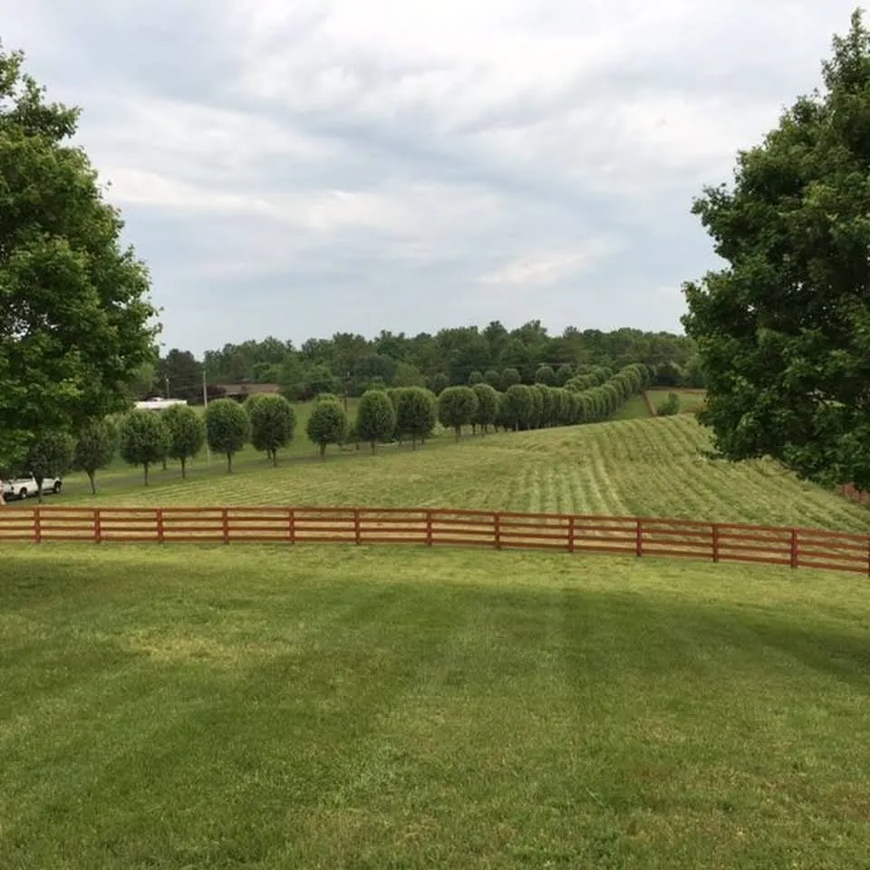 Top-rated residential landscaping in Ashland City, TN - Elkins Brothers Land Management