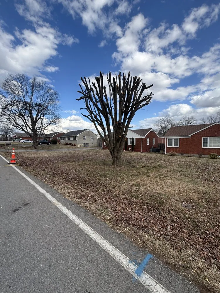 Trusted landscape design near you in Clarksville, TN by Elkins Forestry & Services