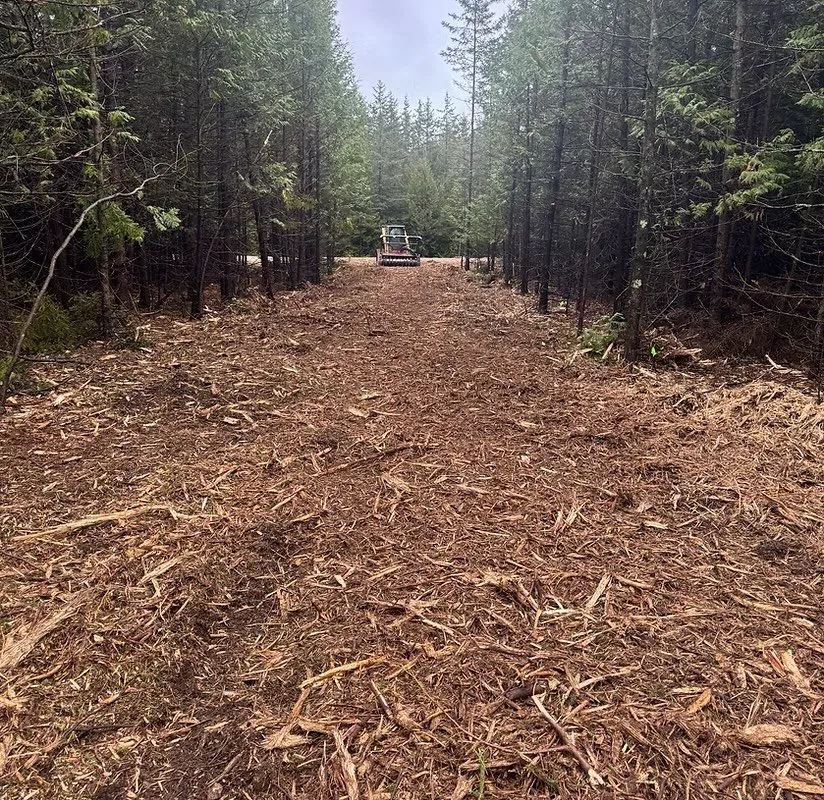 Affordable landscape design for year-round maintenance across Clarksville, TN - Elkins Forestry & Services