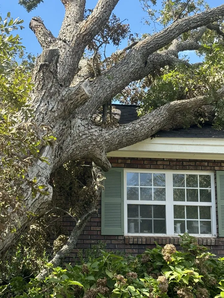 Affordable outdoor landscaping for beautiful yards across Clarksville, TN - Elkins Forestry & Services
