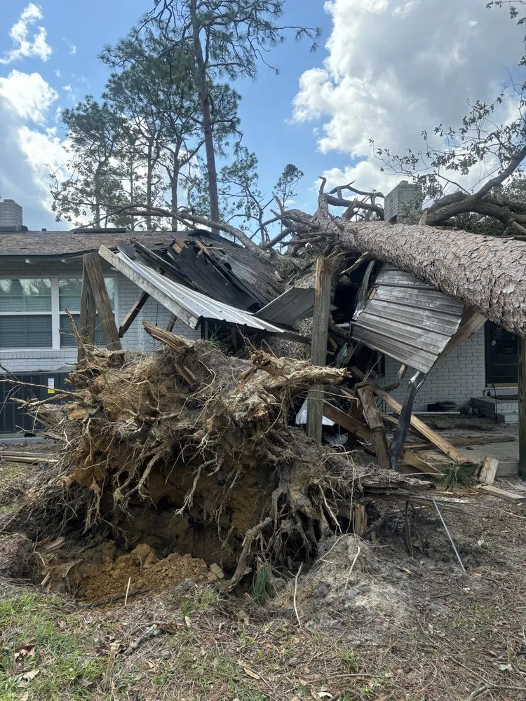 Custom landscaping services for beautiful yards across Clarksville, TN - Elkins Forestry & Services