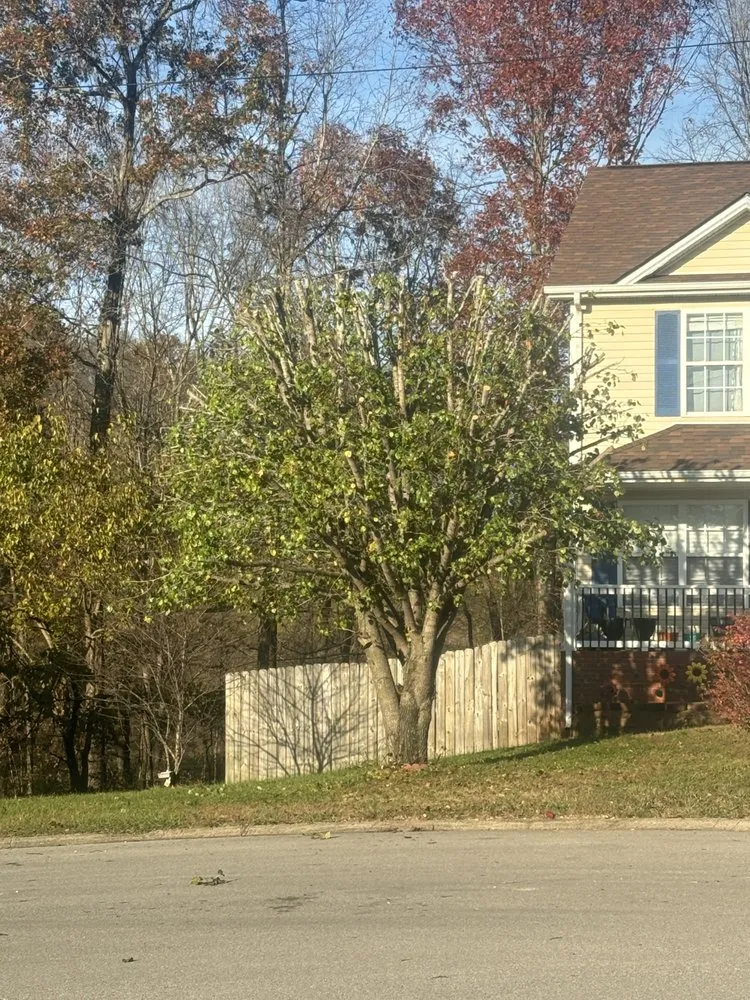 Top-rated lawn mowing service in Clarksville, TN - Elkins Forestry & Services