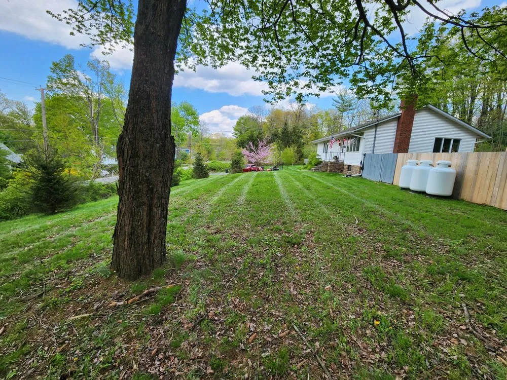 Trusted lawn mowing service in Napanoch, NY by Elkins Lawn Care