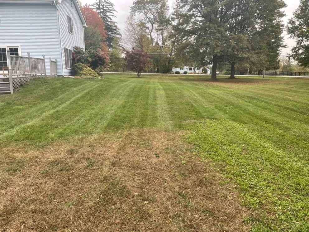 Expert landscape design for beautiful yards across Napanoch, NY - Elkins Lawn Care
