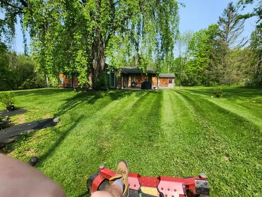 Elkins Lawn Care
