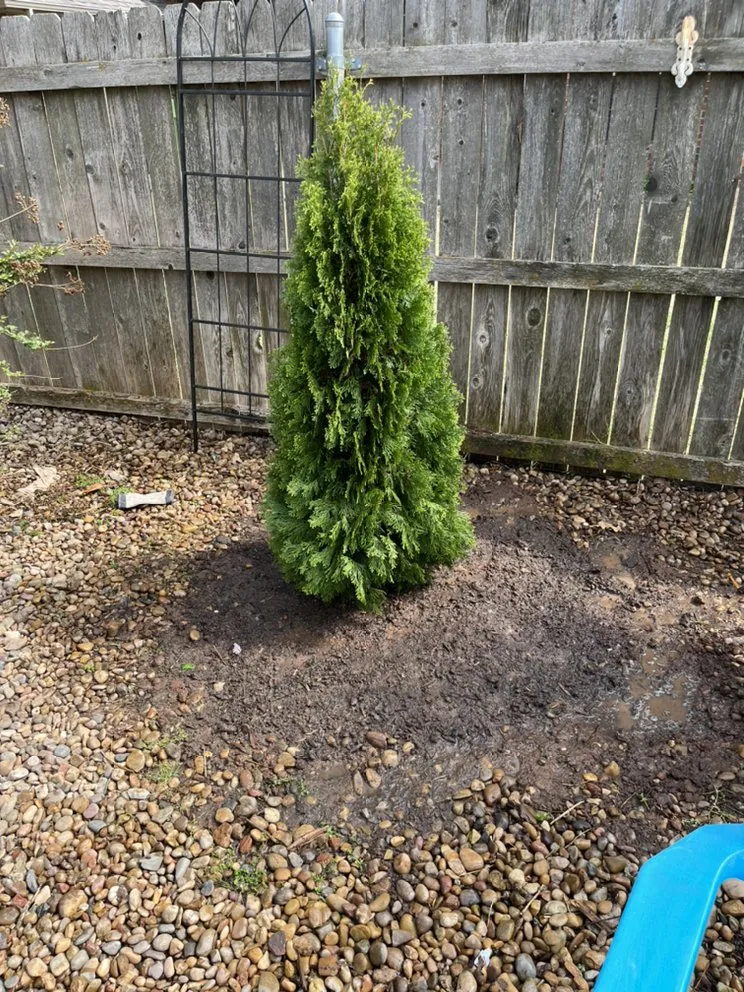 Top-rated landscaping services for homes in Yukon, OK by Elkins Lawncare and Landscape