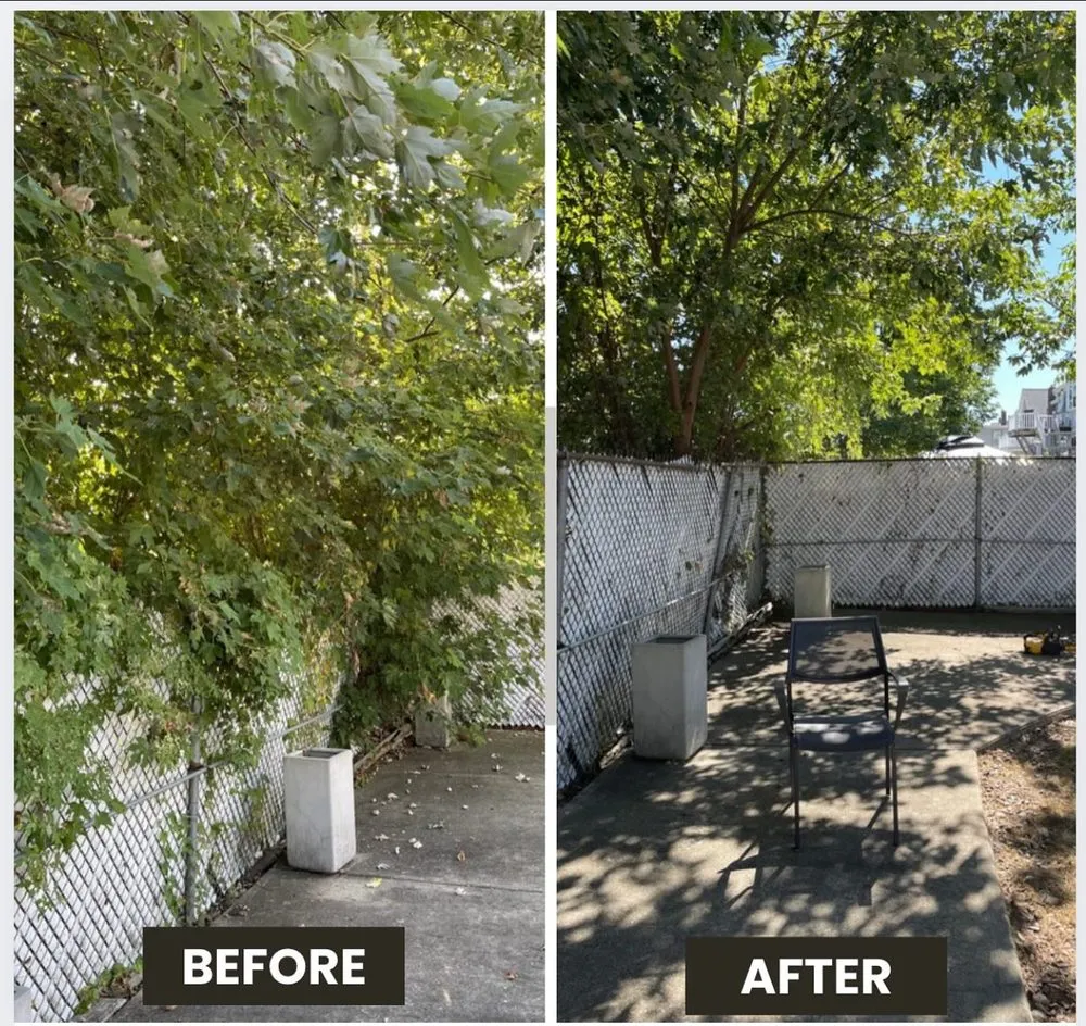 Reliable outdoor landscaping in Malden, MA by Elkins Seasons