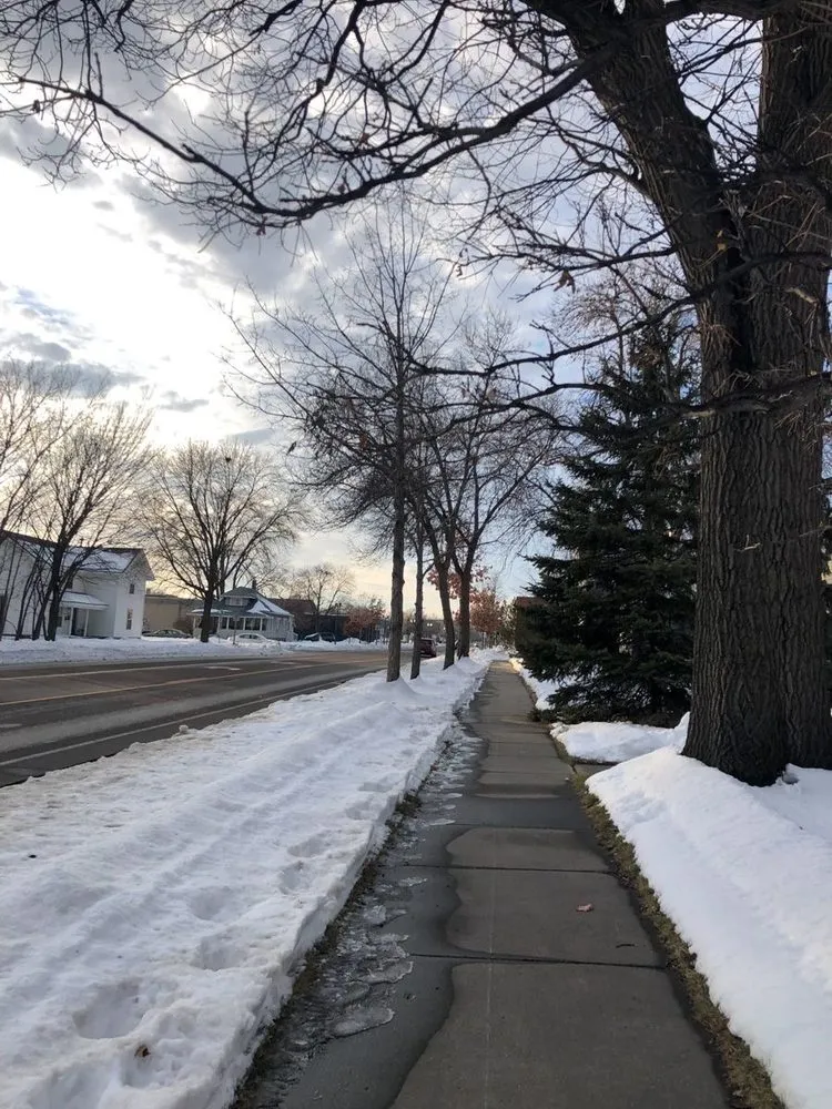 Trusted residential landscaping experts serving Malden, MA - Elkins Seasons