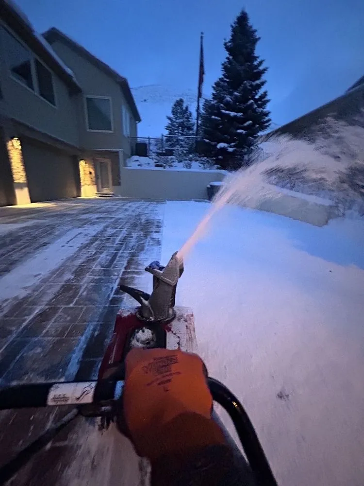 Professional yard maintenance in Malden, MA by Elkins Seasons