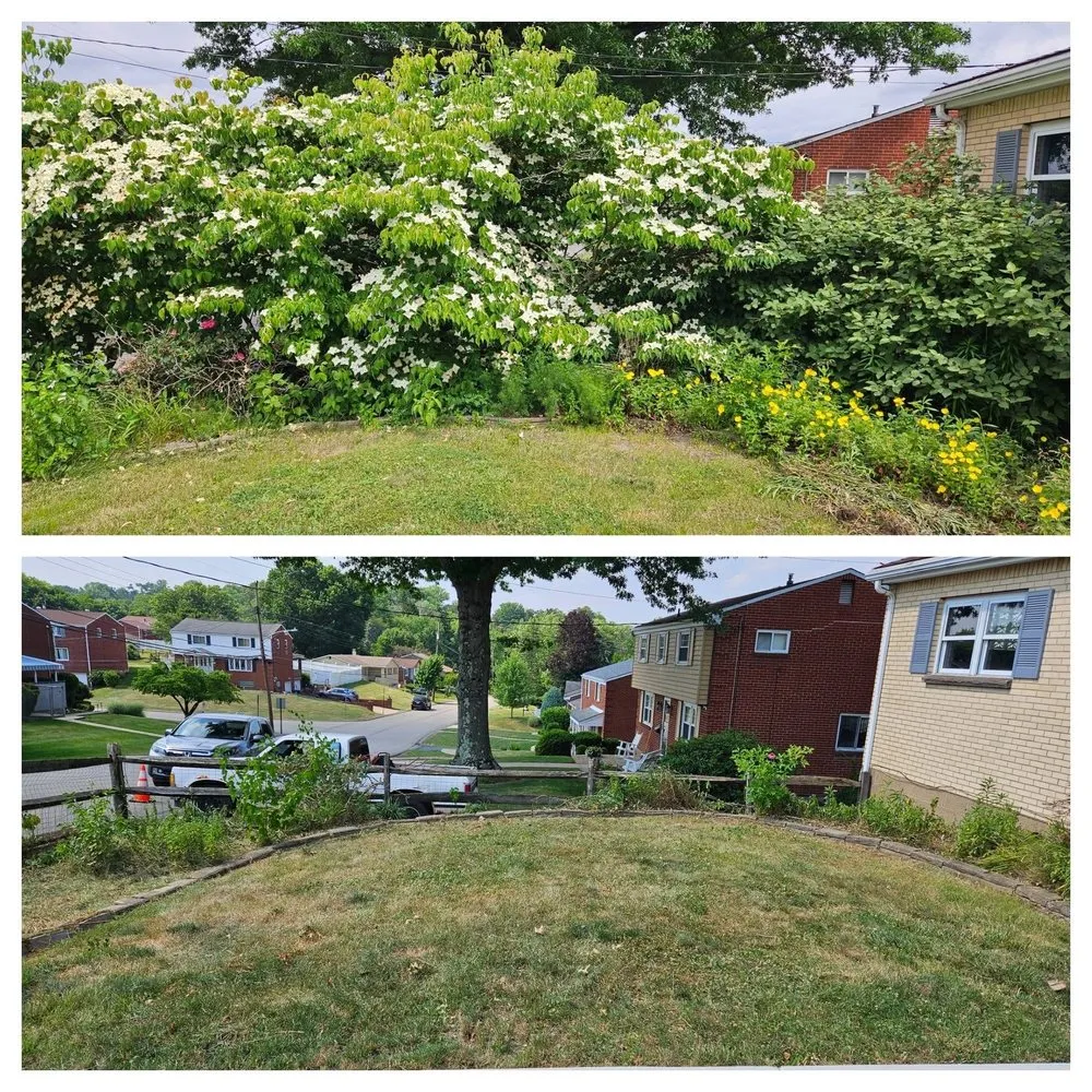 Local lawn care service for beautiful yards across Malden, MA - Elkins Seasons