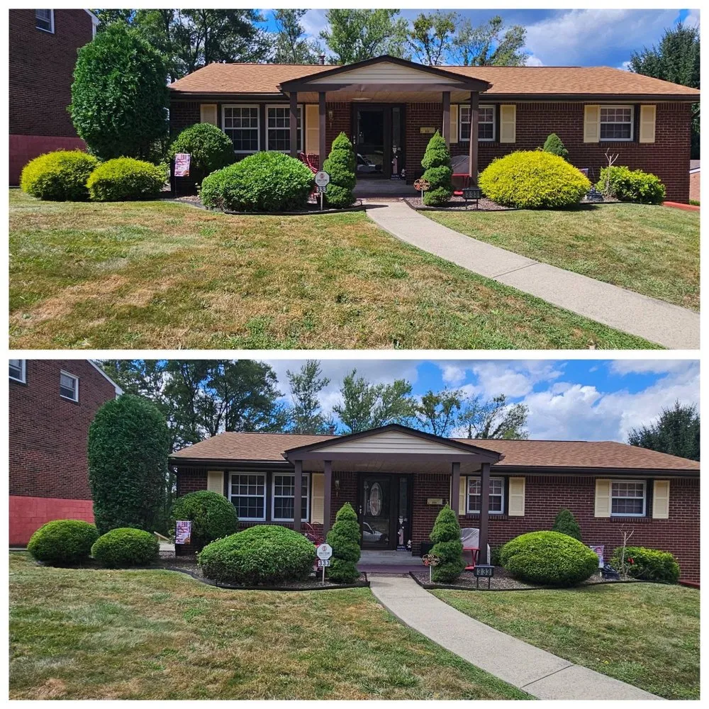 Trusted yard maintenance for outdoor upgrades in Malden, MA by Elkins Seasons