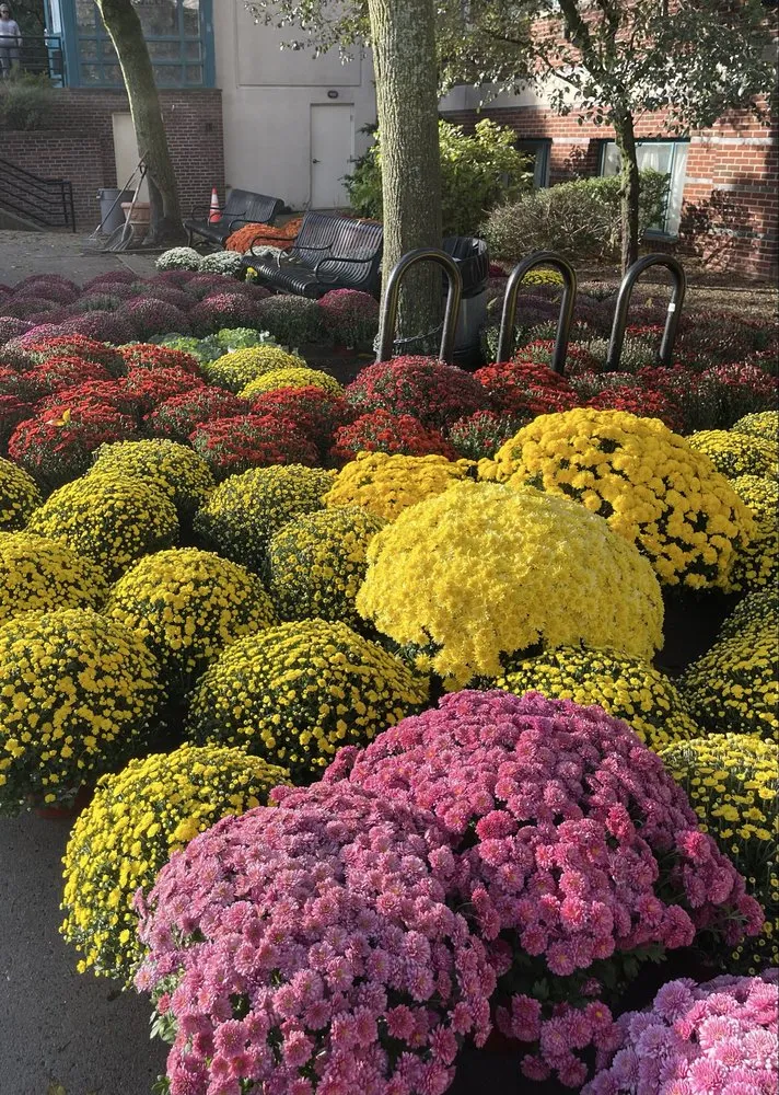 Top-rated lawn care service in Malden, MA by Elkins Seasons