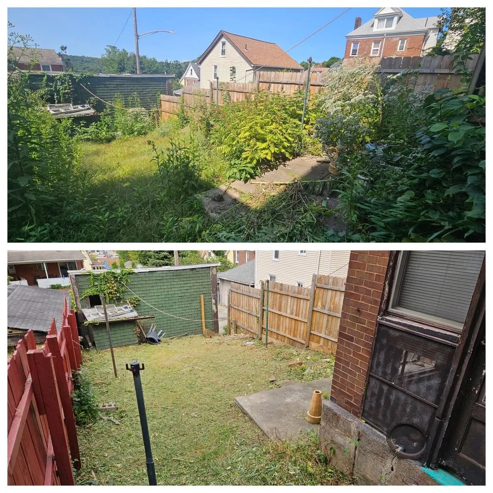 Local lawn care service experts serving Malden, MA - Elkins Seasons