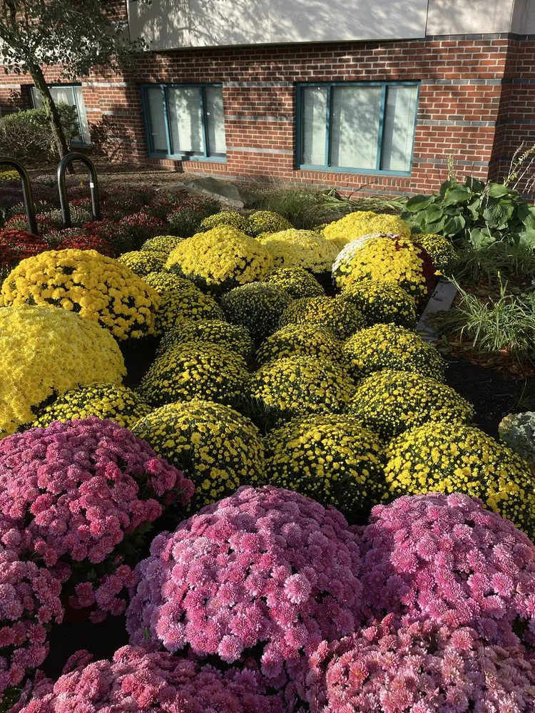 Reliable lawn care service in Malden, MA by Elkins Seasons