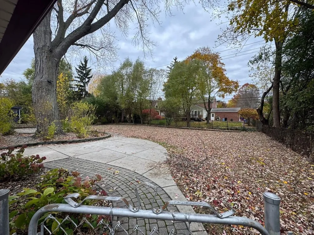 Expert yard maintenance for beautiful yards across Malden, MA - Elkins Seasons