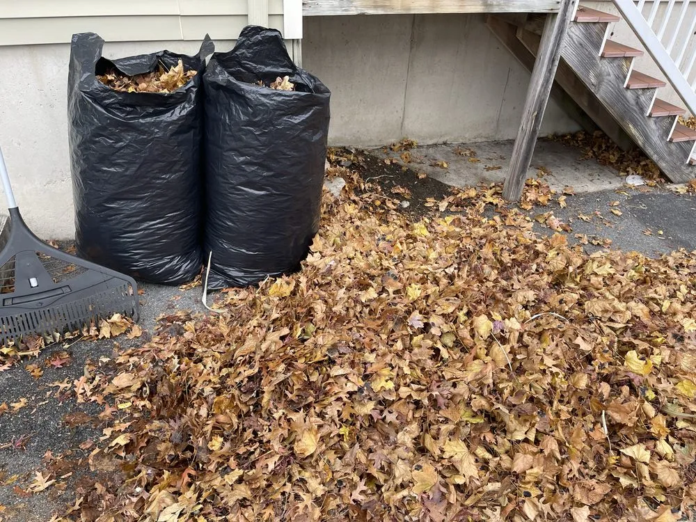 Local lawn mowing service in Malden, MA by Elkins Seasons