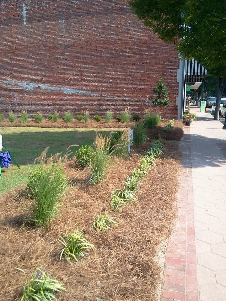 Local garden landscaping in New Bern, NC - Elks Lawn Care & Landscaping