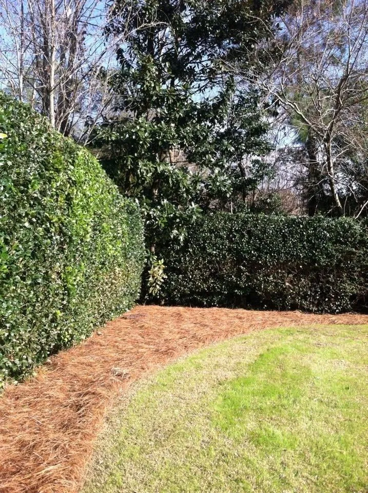 Reliable landscape design experts serving New Bern, NC - Elks Lawn Care & Landscaping
