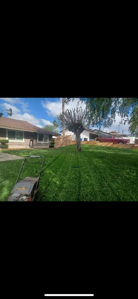 Local yard cleanup service near you across Tulare, CA - ELL Lawn Care Service