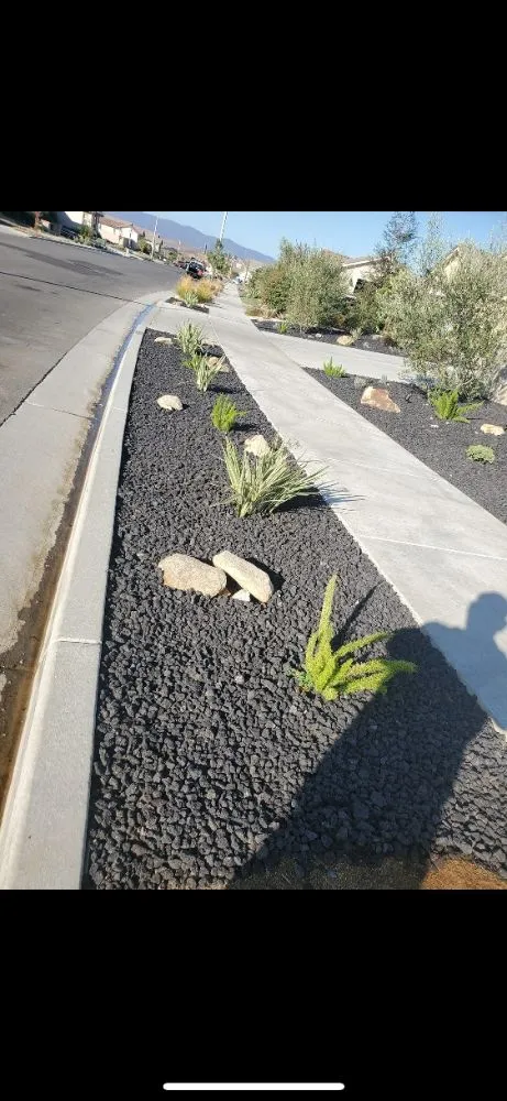 Professional yard maintenance in Tulare, CA by ELL Lawn Care Service