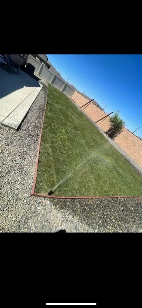 Professional yard cleanup service experts serving Tulare, CA - ELL Lawn Care Service