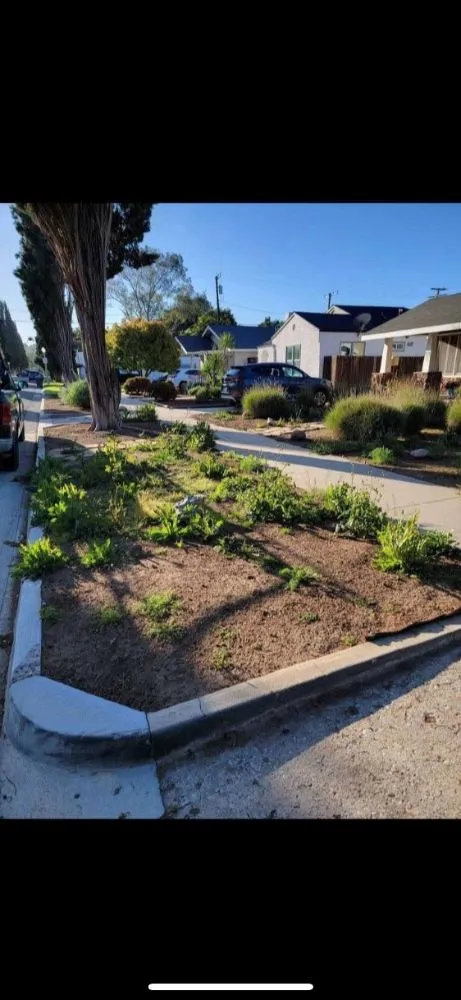 Reliable residential landscaping in Tulare, CA by ELL Lawn Care Service