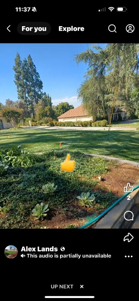 Custom lawn care service for beautiful yards across Tulare, CA - ELL Lawn Care Service