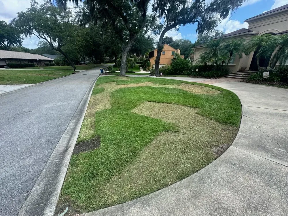 Local landscaping services experts serving Jacksonville, FL - ELLD Property Services