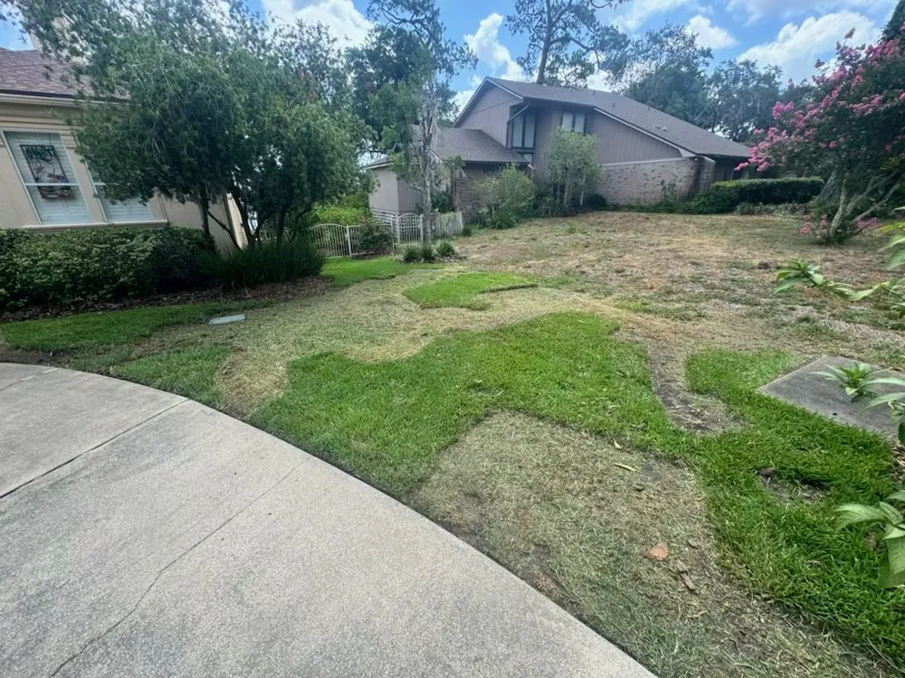 Expert outdoor landscaping for year-round maintenance across Jacksonville, FL - ELLD Property Services