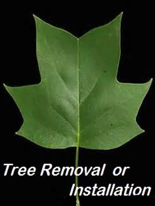 Reliable landscaping services for homes in Hobart, IN by Ellenbergers Maintenance Service