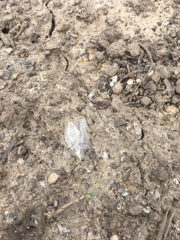 Professional yard maintenance in Hobart, IN by Ellenbergers Maintenance Service