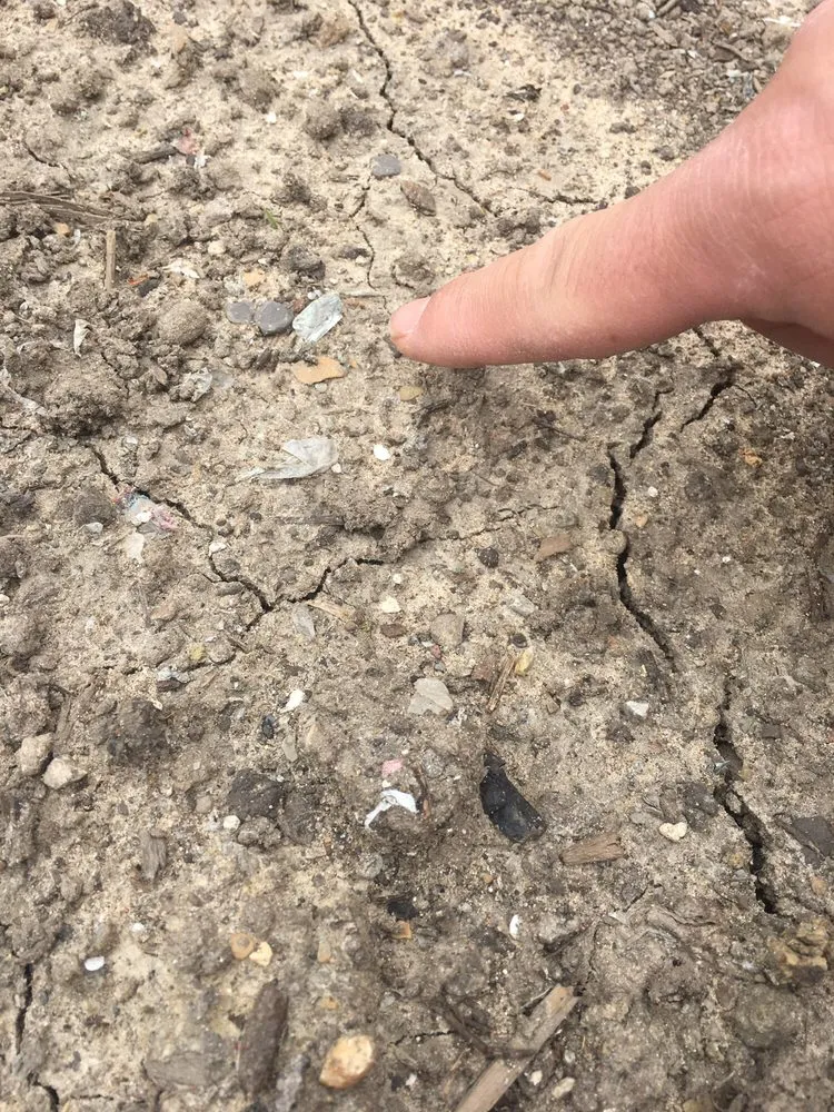 Trusted lawn mowing service experts serving Hobart, IN - Ellenbergers Maintenance Service