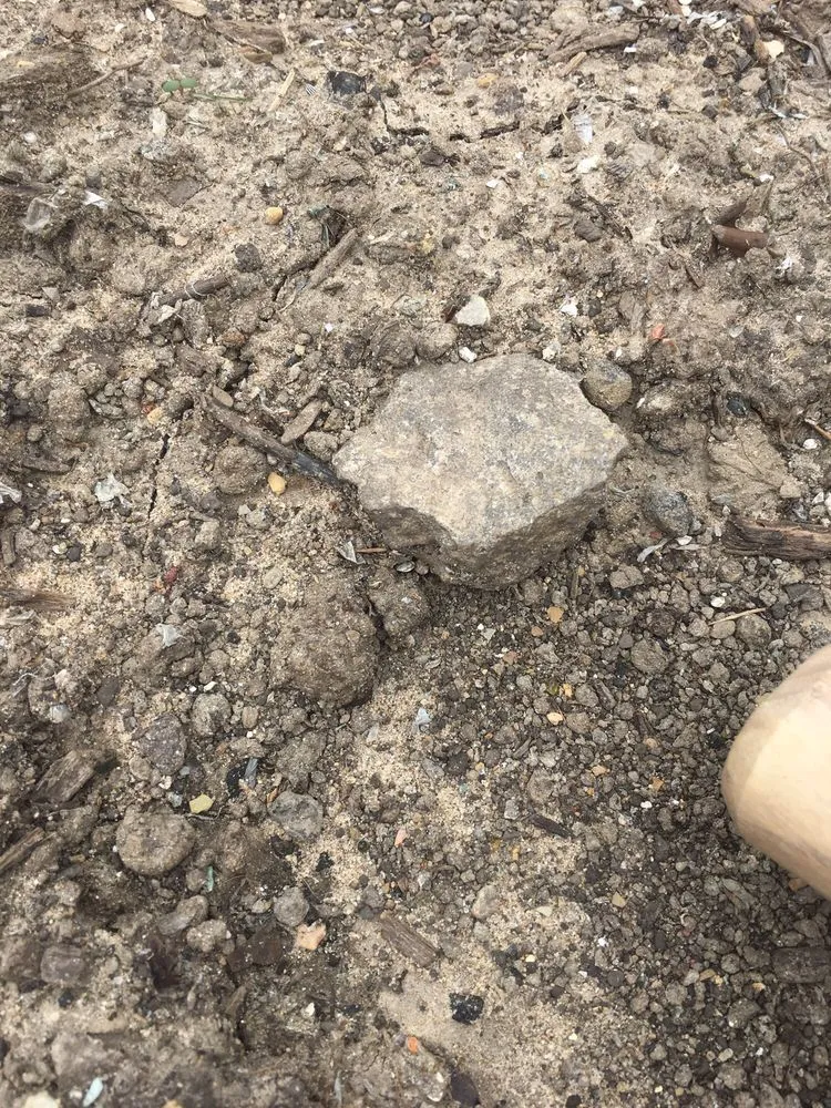 Professional garden landscaping in Hobart, IN - Ellenbergers Maintenance Service