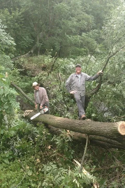 Reliable landscape design for year-round maintenance in Hobart, IN by Ellenbergers Maintenance Service