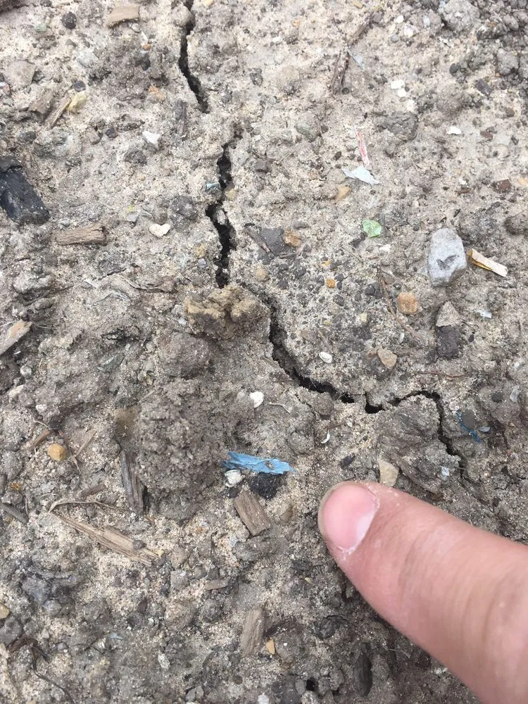 Top-rated lawn care service for beautiful yards across Hobart, IN - Ellenbergers Maintenance Service