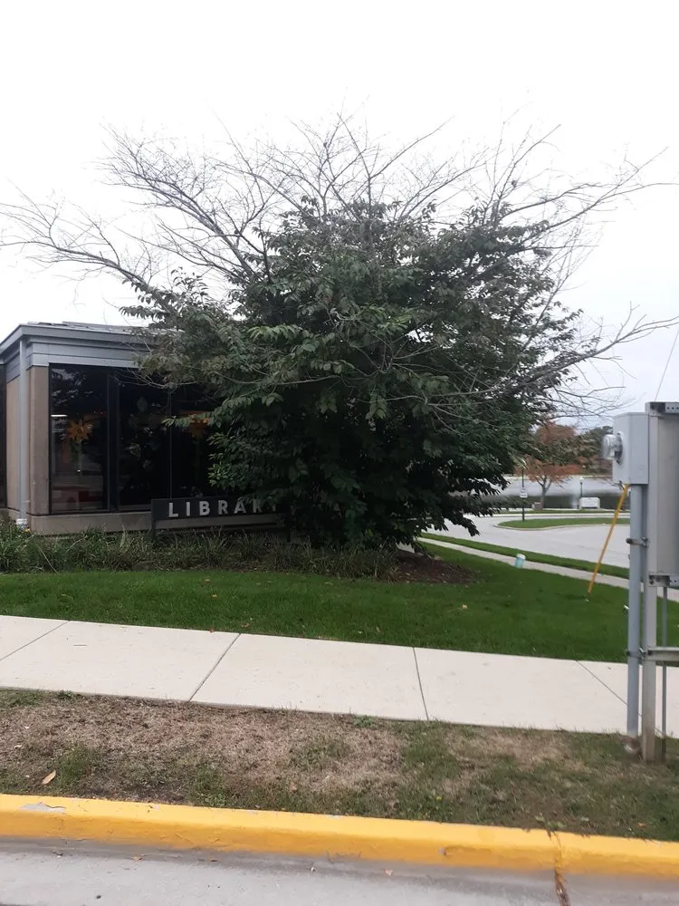 Affordable landscaping services experts serving Hobart, IN - Ellenbergers Maintenance Service