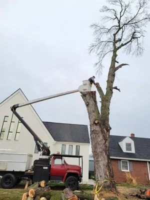 Ellenbergers Maintenance Service