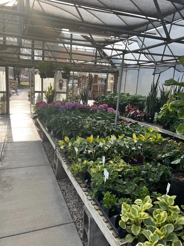 Trusted outdoor landscaping for homes across Knoxville, TN - Ellenburg Landscaping & Nursey