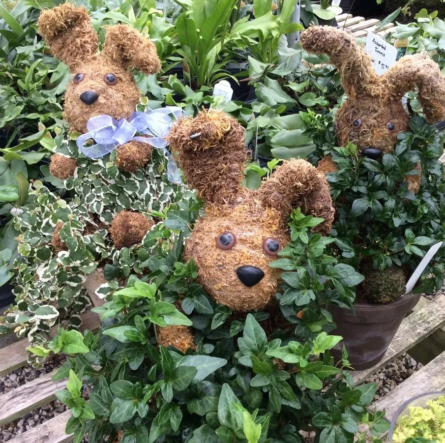 Professional lawn care service in Knoxville, TN - Ellenburg Landscaping & Nursey