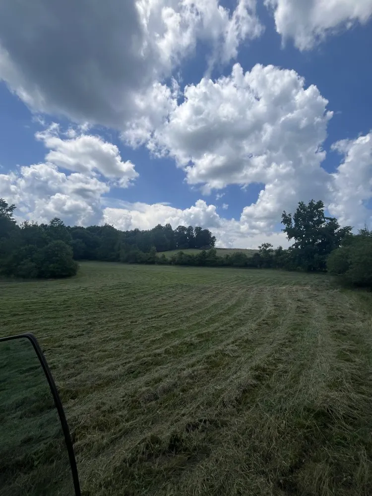 Expert yard maintenance for homes in Liberty, SC by Ellenburg Solutions