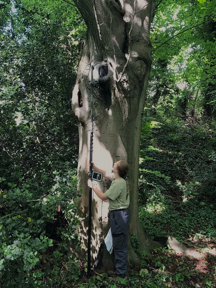 Top-rated lawn mowing service in Newark, DE - Ellie's Garden and Landscaping