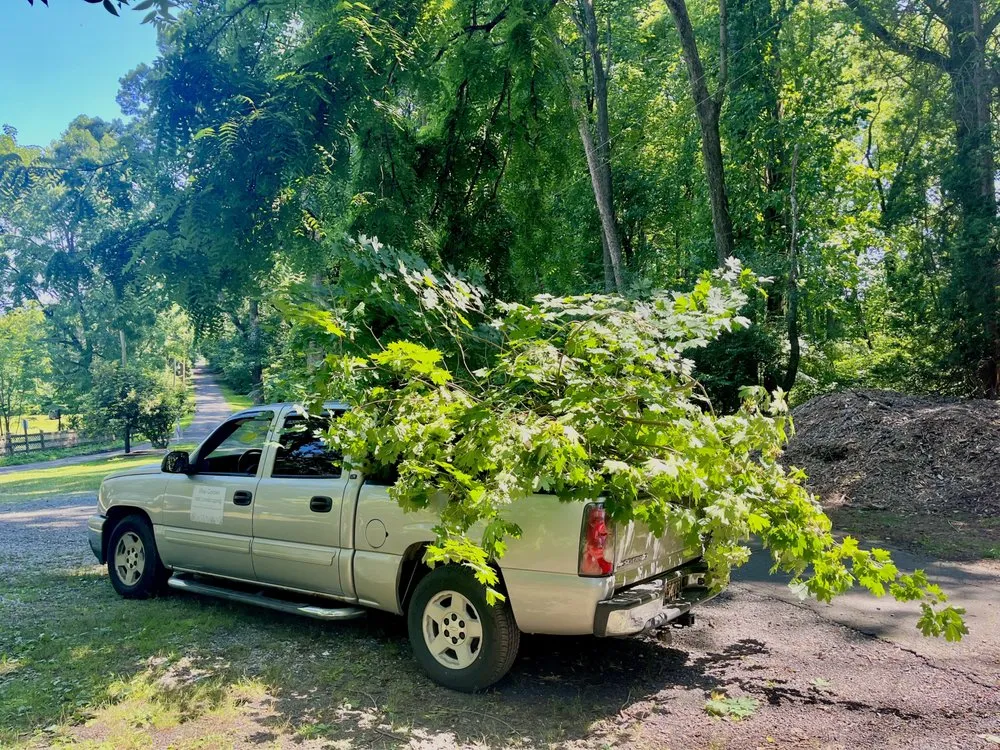 Expert landscaping services with custom design in Newark, DE by Ellie's Garden and Landscaping