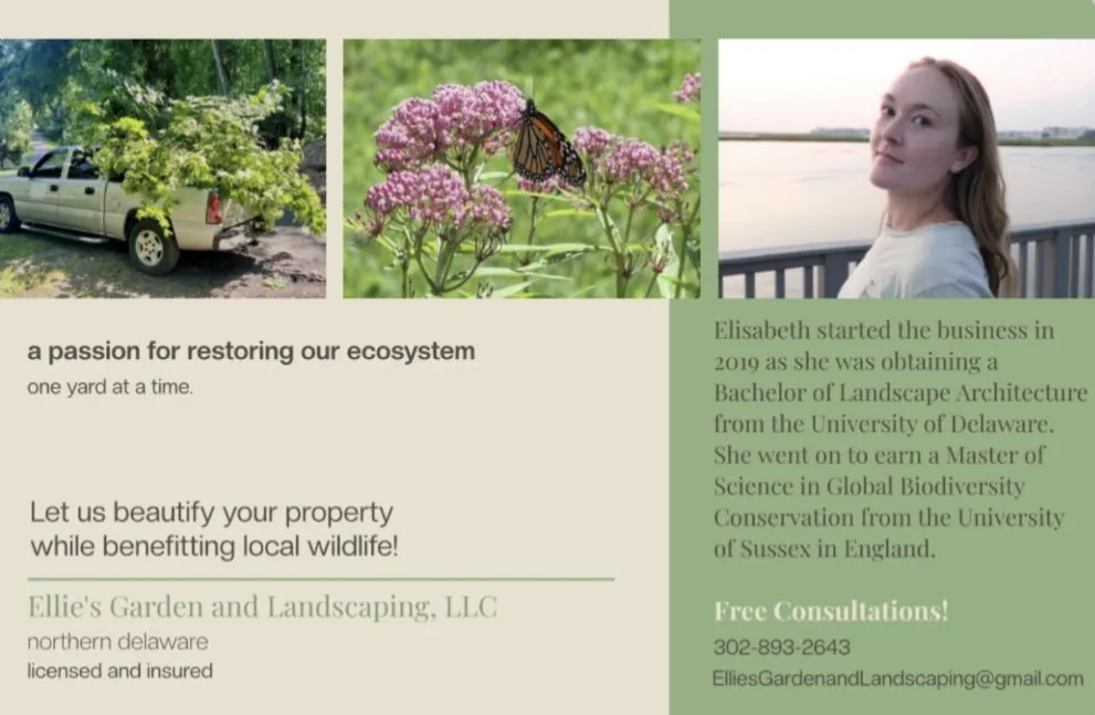 Trusted landscaping services experts serving Newark, DE - Ellie's Garden and Landscaping