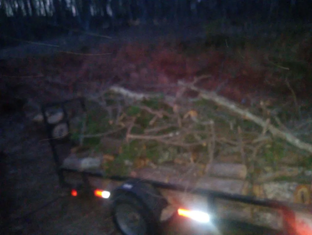 Expert landscape installation in Ellijay, GA by Ellijay Home Services