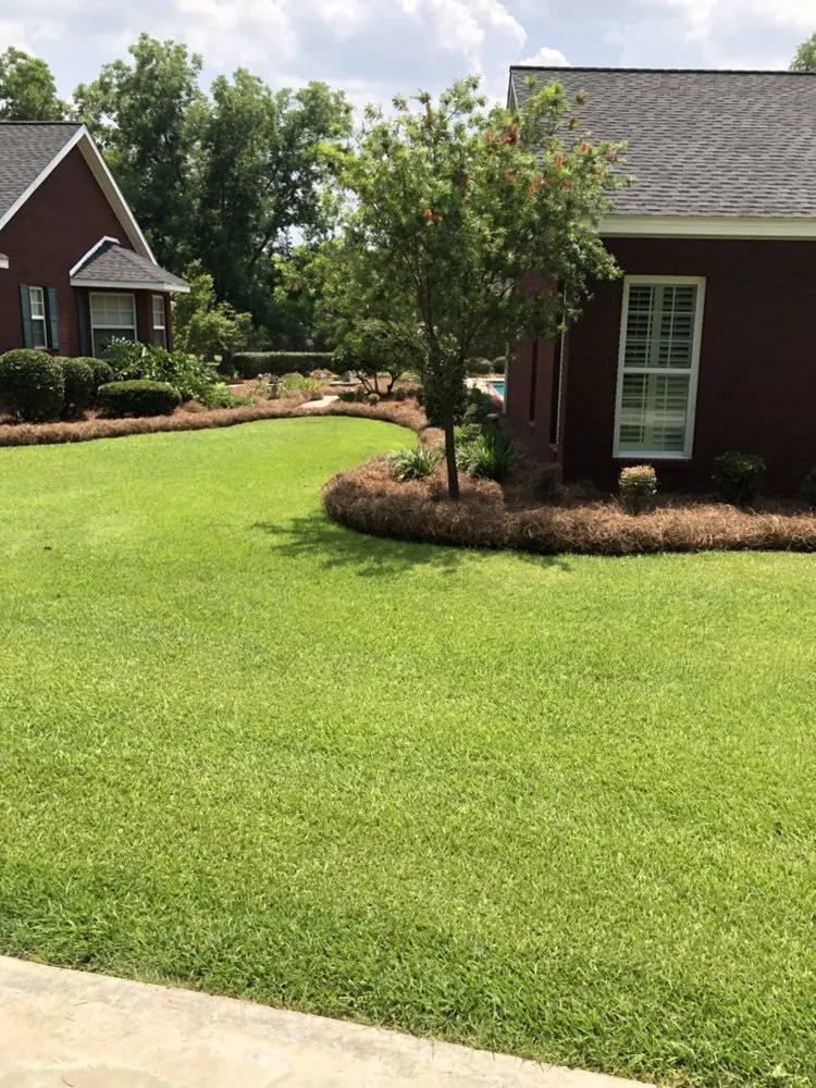 Expert lawn care service near you in Blackshear, GA by Elliot Hernandez Lawn Service